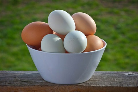 تصویر 2 از قیمت خرید تخم مرغ محلی شرکتی + فروش ویژه
